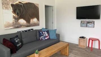 Fernseher