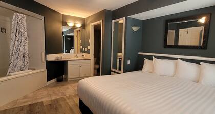 Ground floor / Mountain View / 2 King beds