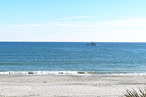 On the beach
