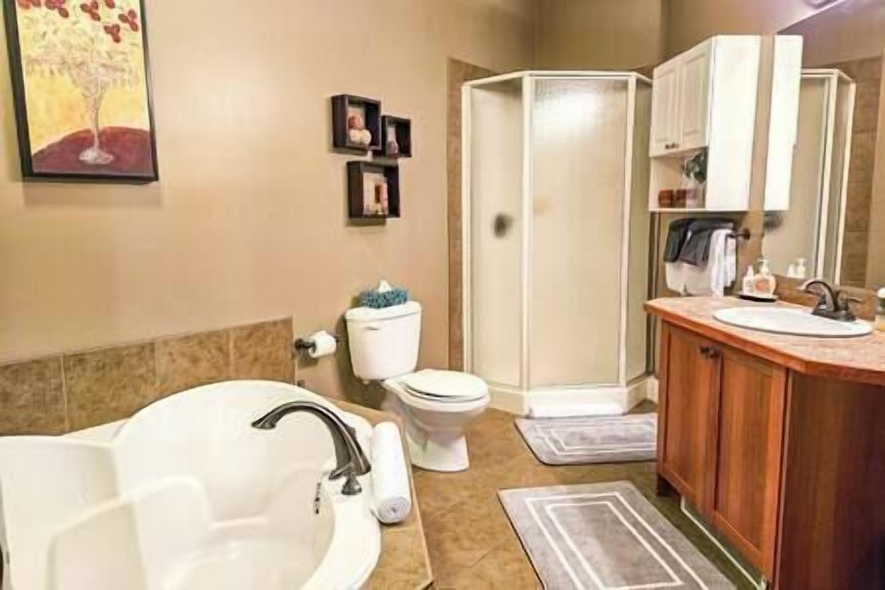 Asciugacapelli, asciugamani, sapone, shampoo