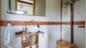 A bathroom with a wooden vanity, a white sink, a toilet, and a mirror.