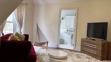 Smart TV, fireplace, video games, books