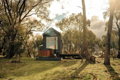 Tiny Harper Summary: