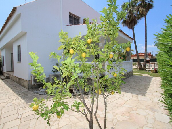 A white building with a tiled patio and a small tree with yellow fruits.