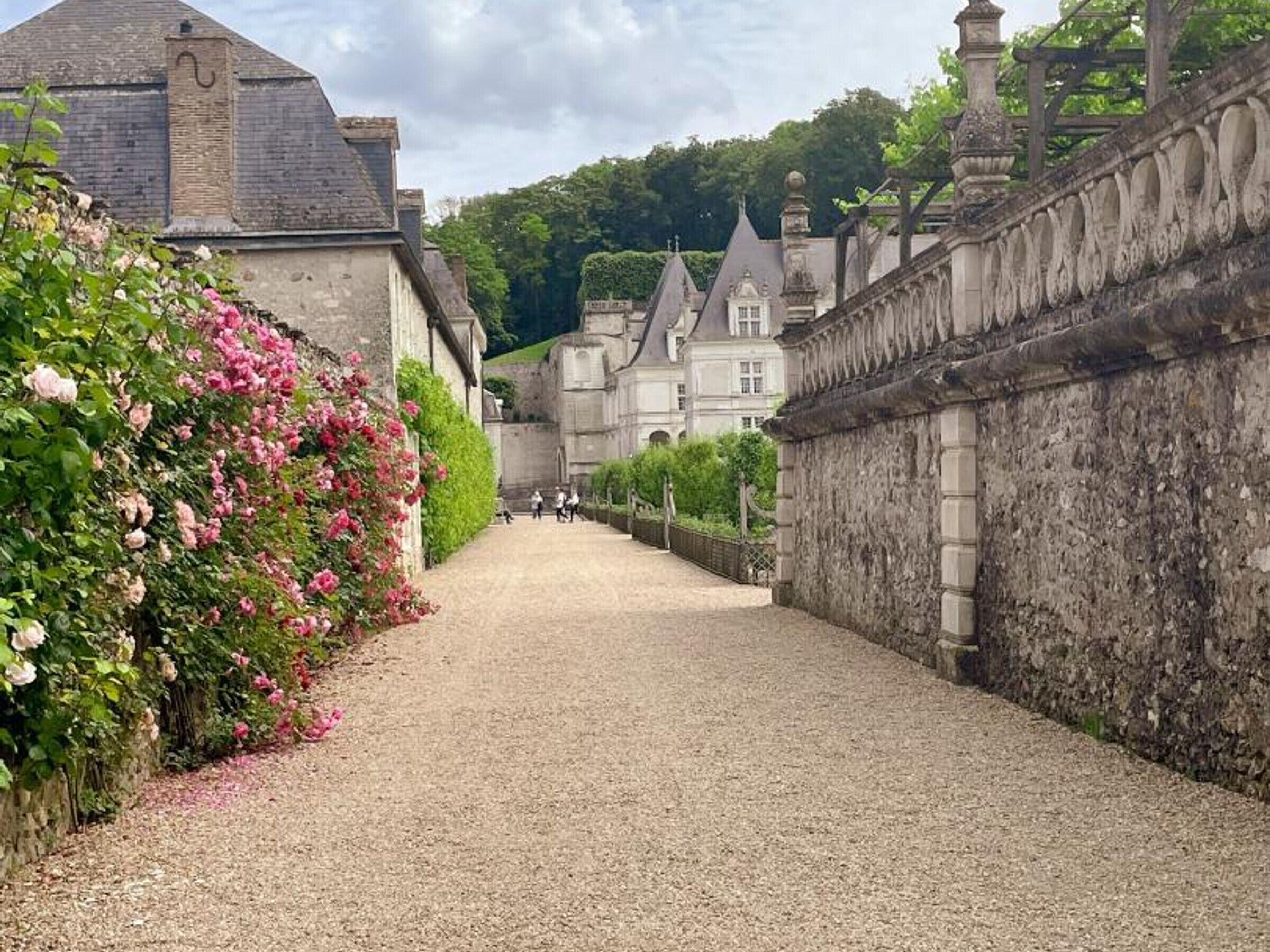 Un sendero de grava que conduce a un edificio histórico con paredes de piedra y una fila de rosas rosadas a la izquierda.