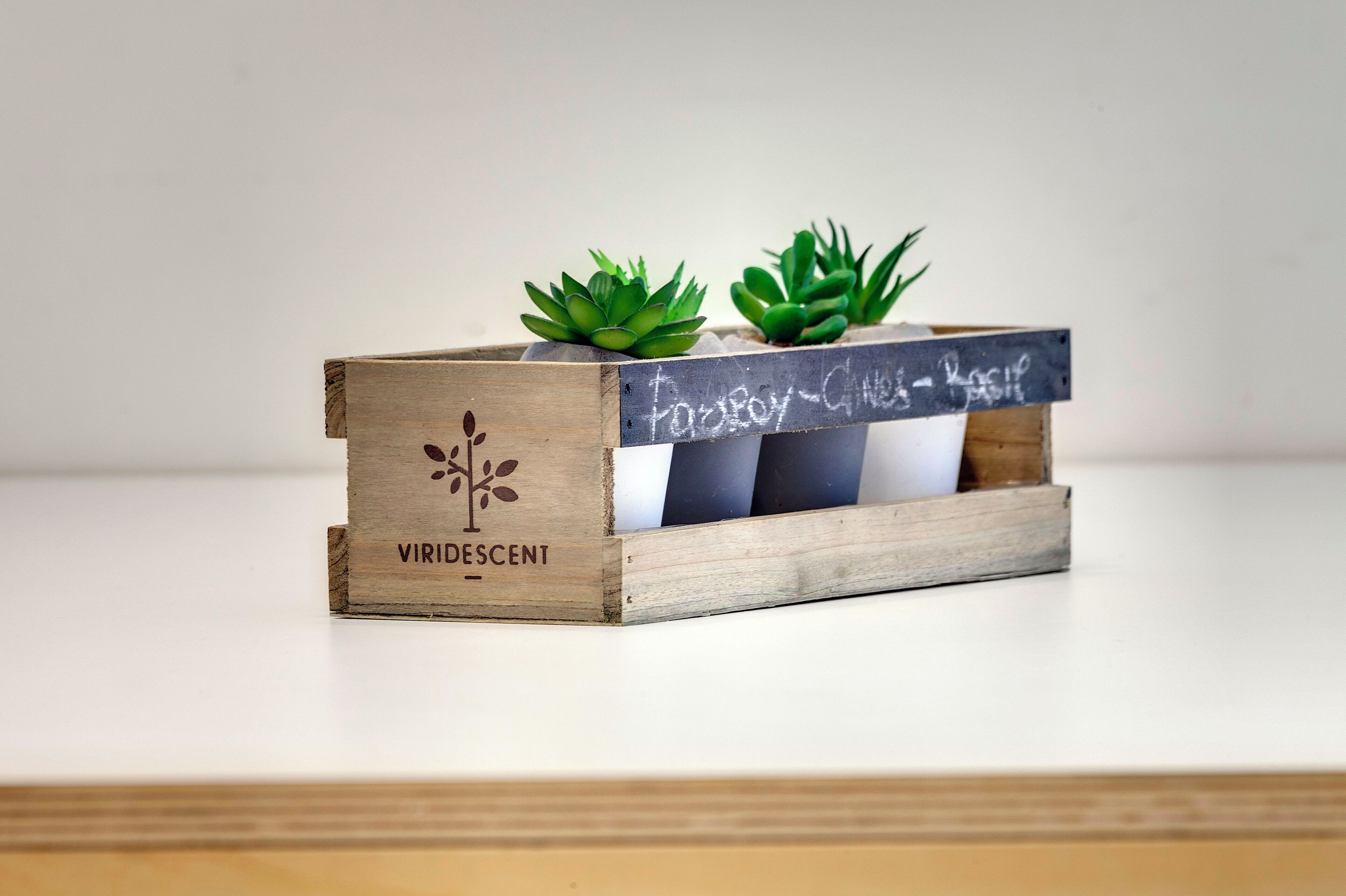 A wooden crate with two potted succulents and a chalkboard sign.