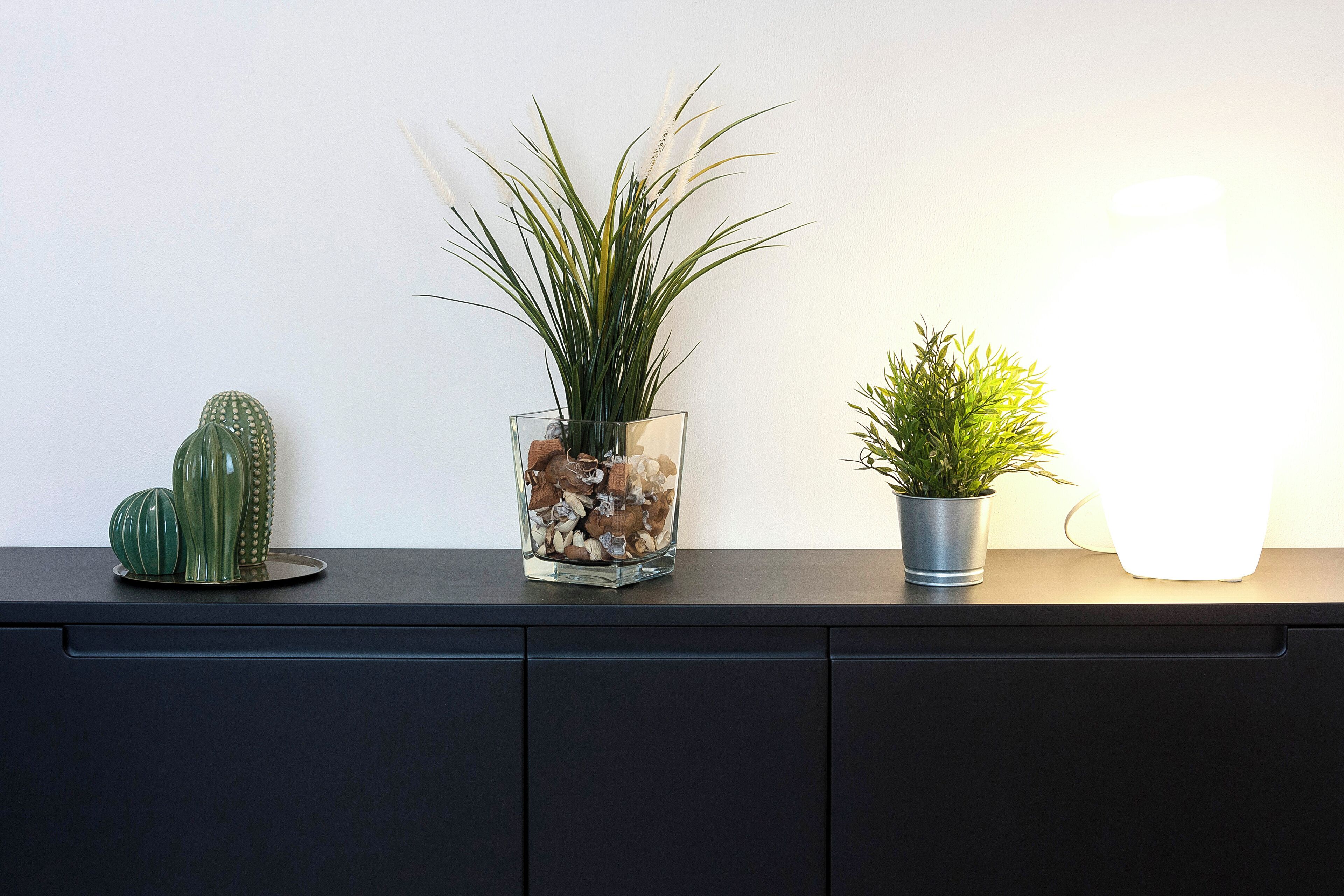 A black cabinet with three potted plants: a cactus, a plant with long leaves, and a small green plant in a metal pot.