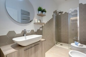 Departamento | Baño | Regadera, secadora de cabello, bidet, toallas 