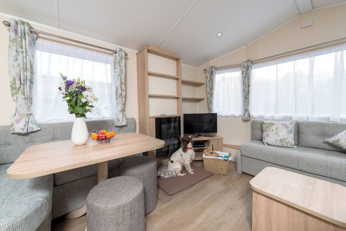 Ein modernes Wohnzimmer mit einer Couch, einem Holztisch, einem Fernseher und einem Hund.