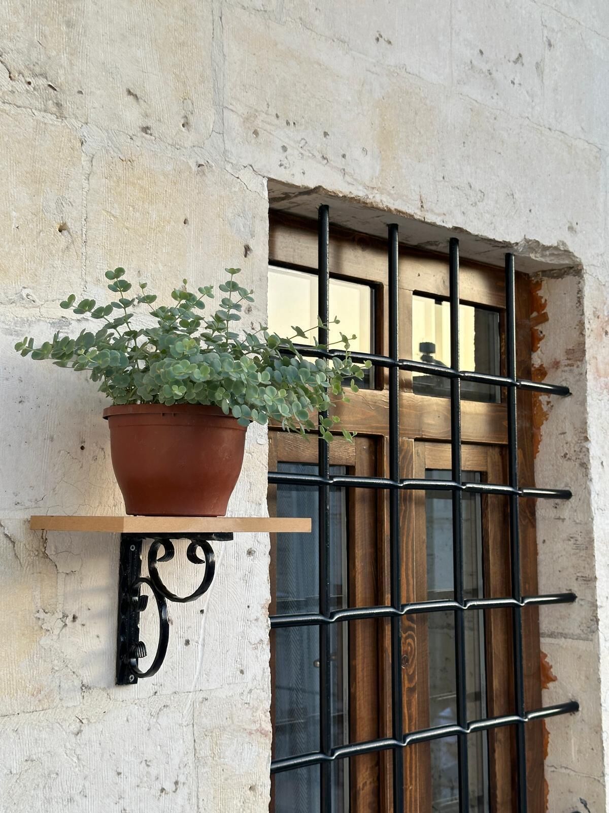 A potted plant on a metal shelf attached to a wall with a window and metal bars.