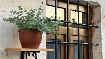 A potted plant on a metal shelf attached to a wall with a window and metal bars.