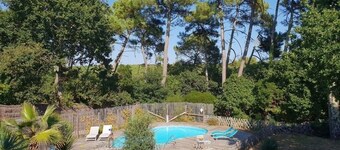 Charming, fully renovated villa with breathtaking forest views.