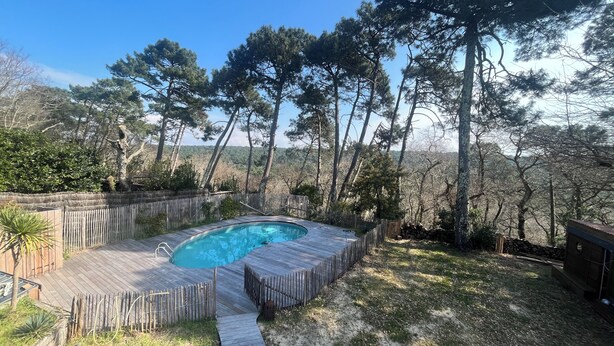 En baghave med træterrasse, swimmingpool og udsigt til et skovområde.