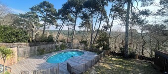 Charming, fully renovated villa with breathtaking forest views.