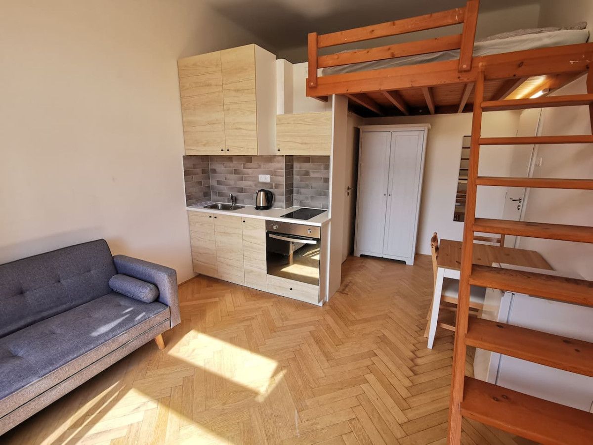 A compact living space with a kitchenette, a sofa, and a wooden loft bed.