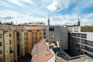 Botón de imagen sin clasificar, 5 de 12