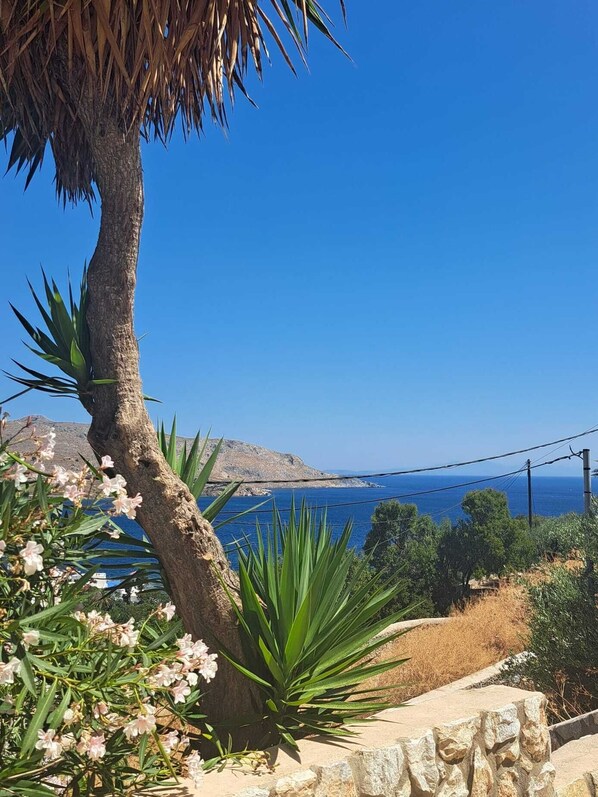 Property grounds - SILVER MOON at Agia Marina Leros (Leros)