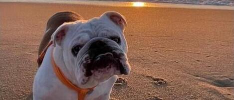 On the beach