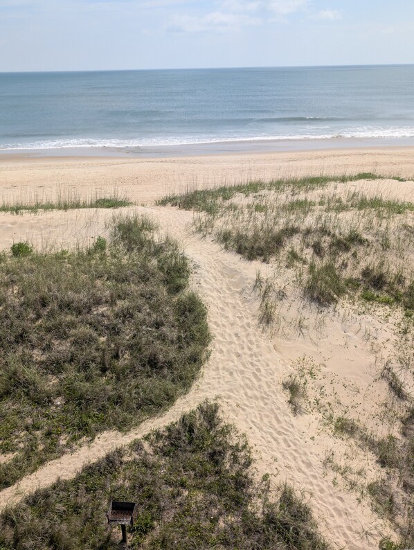 A sandy beach with a narrow path leading to a bench.