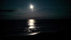 A nighttime beach scene with a bright moon reflecting on the water.