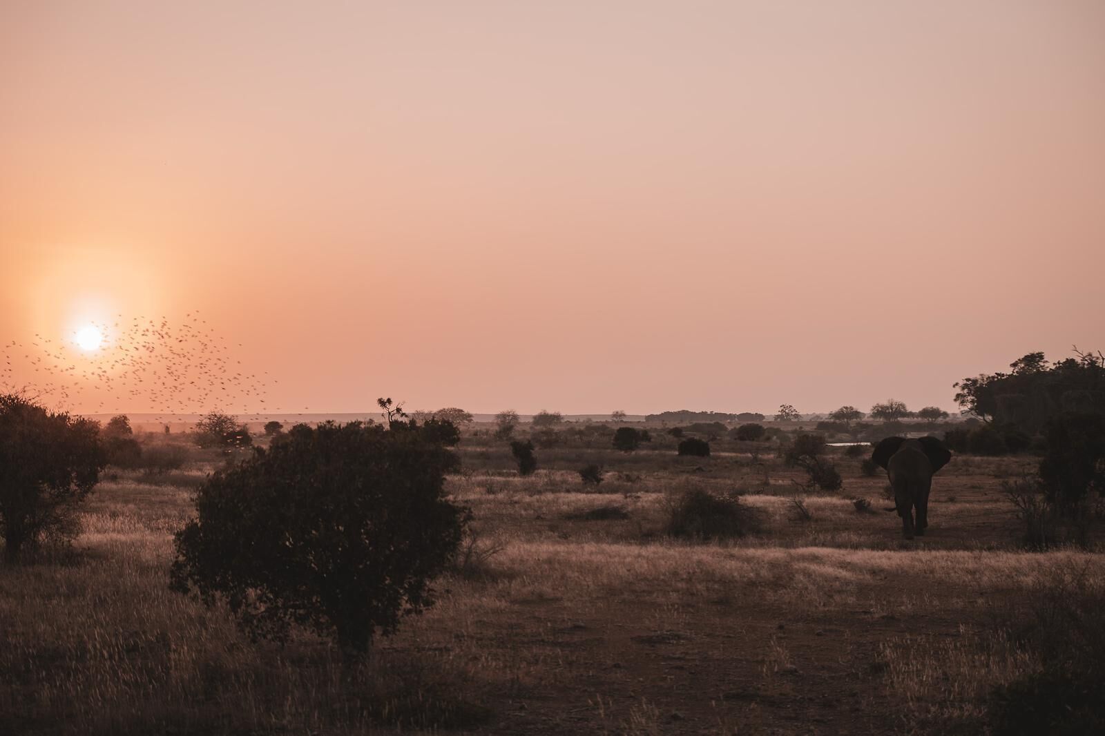 Foto - Diamonds Malindi