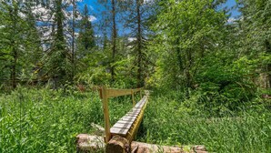 Un banc en bois, situé dans une zone boisée, avec une végétation luxuriante et des arbres en arrière-plan.