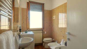 Hair dryer, bidet, towels, soap