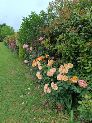 Property grounds - ReginaSerena,
8/10 persons. NEW
Typical, Ancient Farmhouse, completely restaured (Toscana)