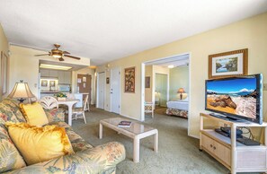 Smart TV, DVD player, books, video library