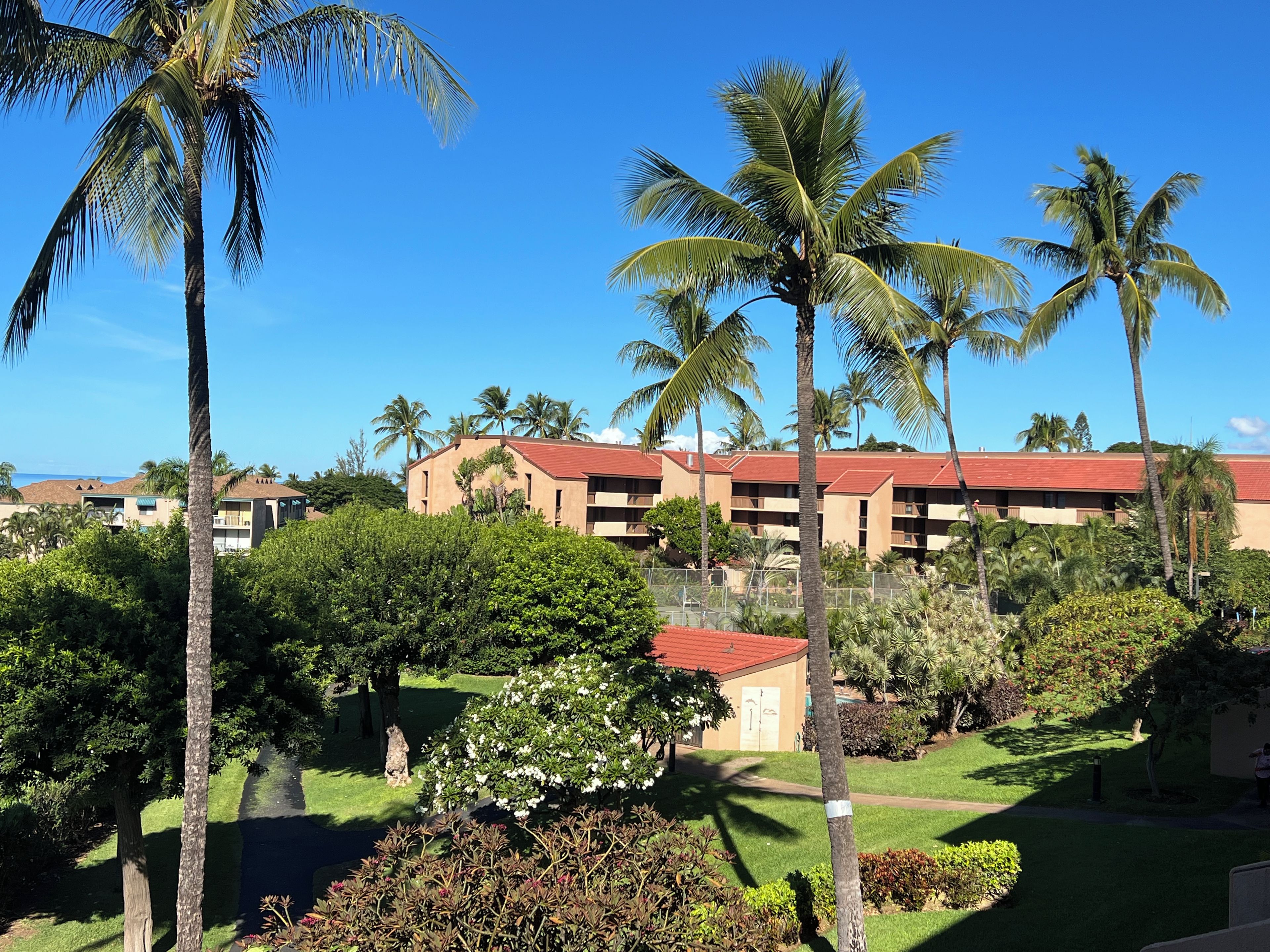 A resort with multiple-story buildings, palm trees, and well-maintained lawns.