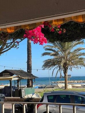 Property grounds - Relax, Sun and Beach (Málaga)