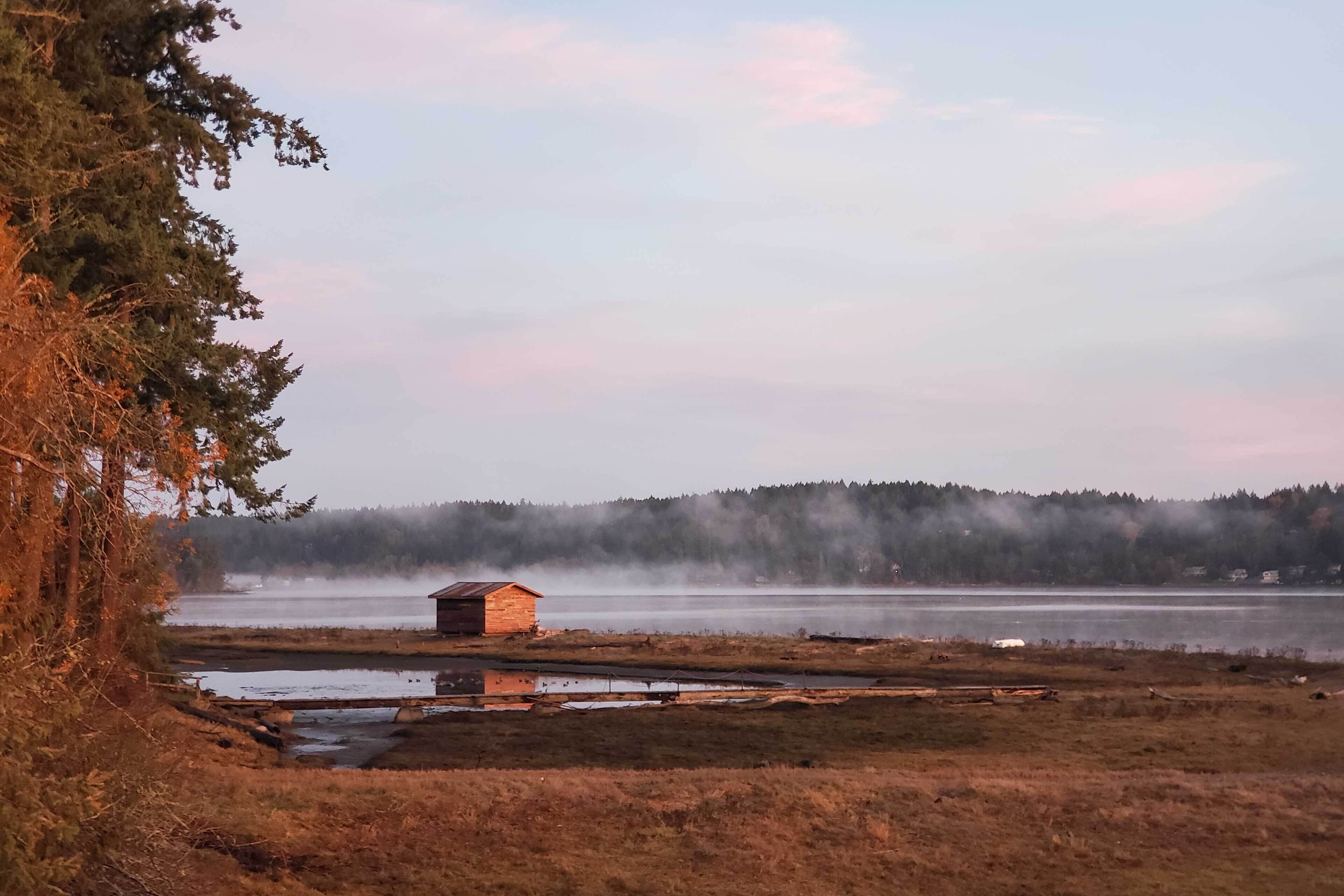 A rustic cabin by a misty lake with a forest backdrop.