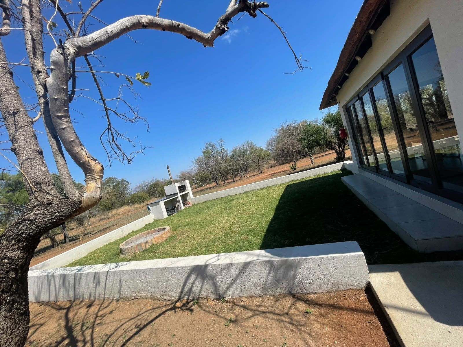 A modern building with large windows, a concrete pathway, and a grassy area with trees.