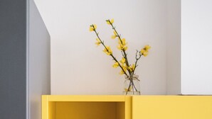 A yellow cabinet with glass jars and a small vase with yellow flowers. - Bright and Comfortable Studio Flat, Way Central! (Bologna)