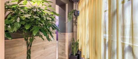 A hallway with a wooden floor, a potted plant, a hanging plant, and a yellow curtain.