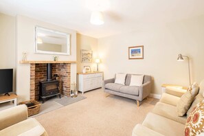 TV, fireplace, books