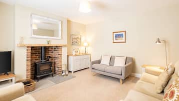 TV, fireplace, offices