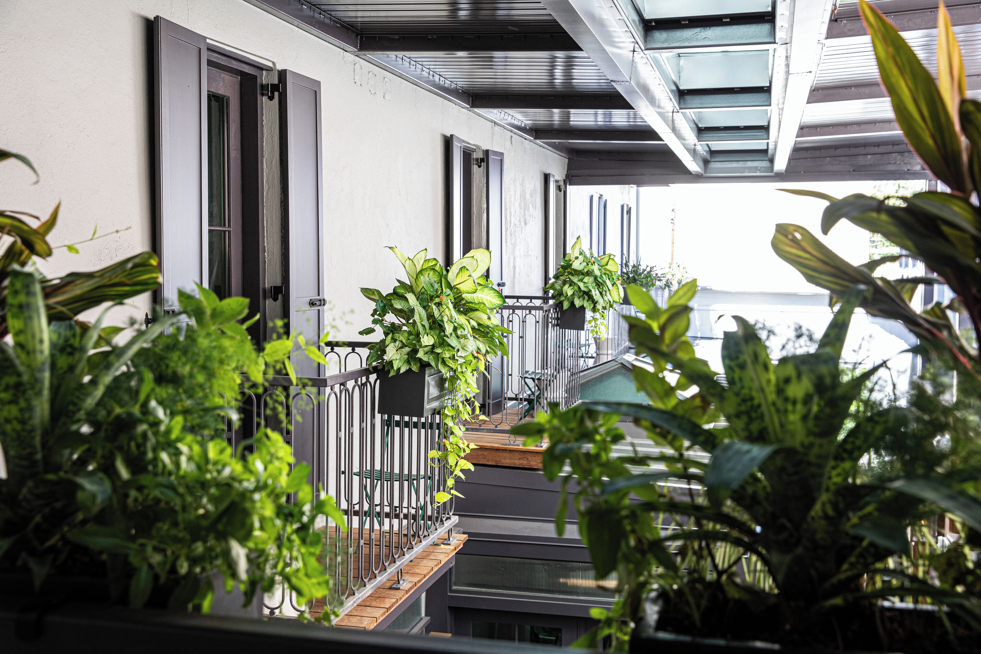Een balkon met potplanten, een metalen hekwerk en uitzicht op de gevel.
