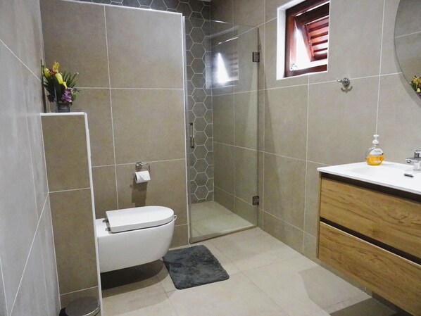 A modern bathroom with a toilet, shower, and vanity. - Tortuga Apartment A in Lagun is close to the beach (Curacao)