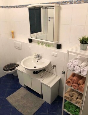 Sèche-cheveux, serviettes fournies, savon, papier toilette