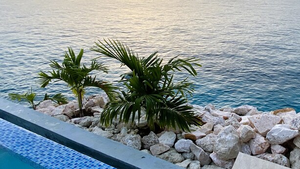 A pool with blue tiles, surrounded by rocks and palm trees, overlooking a calm sea at sunset.
