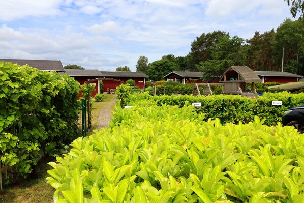 Área da propriedade