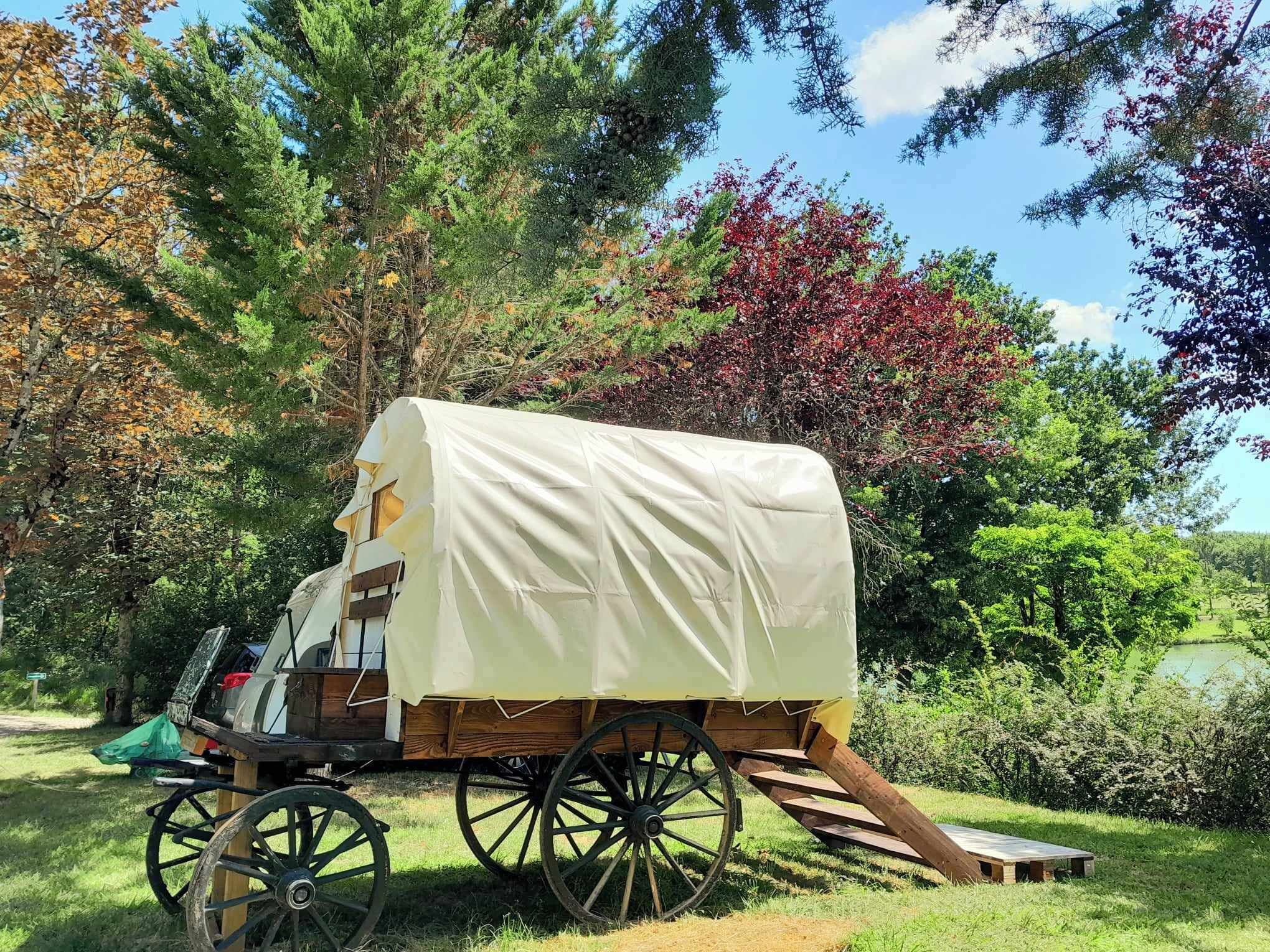 A covered wagon with a canvas top, wooden wheels, and a bench at the back, parked in a grassy area with trees and a body of water in the background.