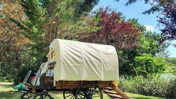 A covered wagon with a canvas top, wooden wheels, and a bench at the back, parked in a grassy area with trees and a body of water in the background.