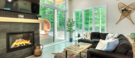 Smart TV, fireplace, books