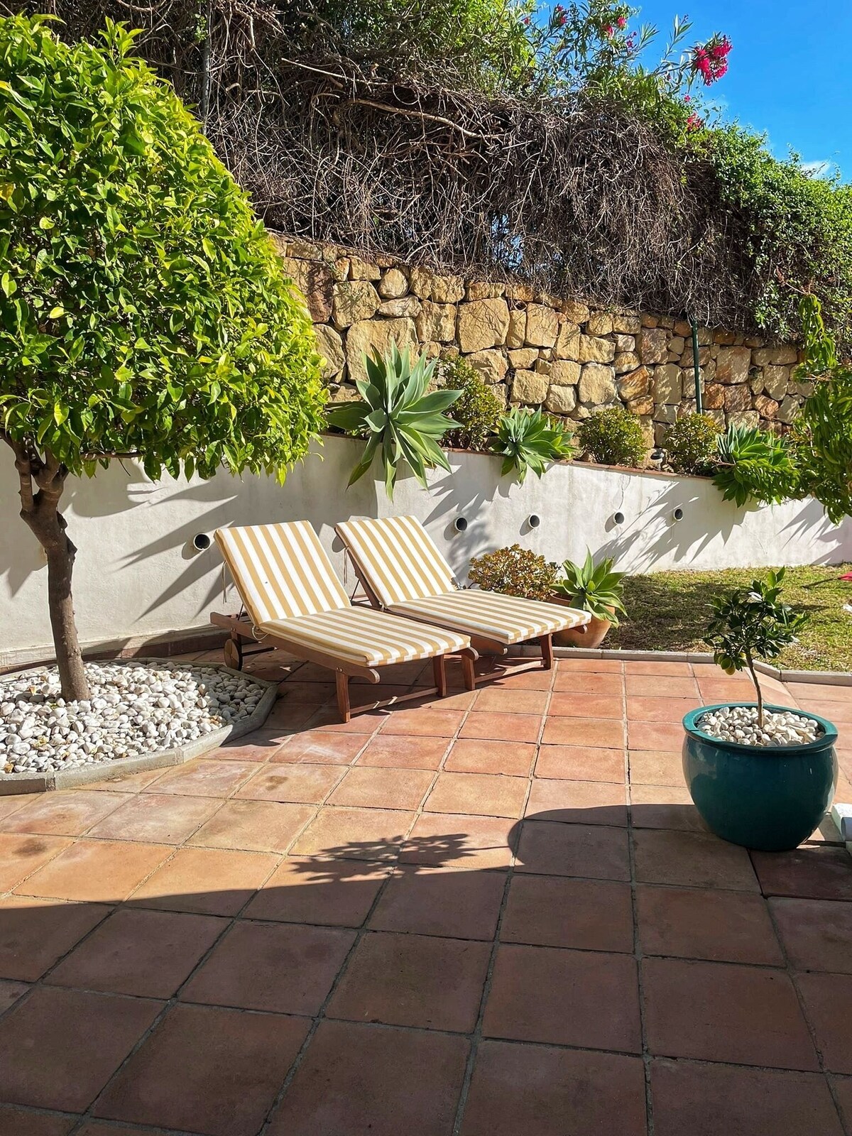 オーナーのプロフィール画像