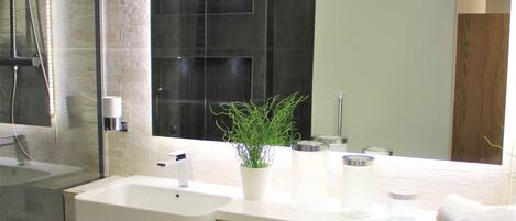 Penthouse, 1 habitación, para no fumadores, cocineta | Baño | Regadera