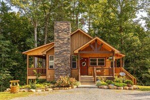 Exterior - 2 Crazy Cubs-Close to Pigeon Forge (SEVIERVILLE)