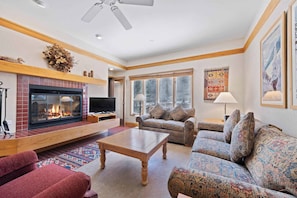 TV, fireplace