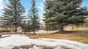 A snow-covered landscape with large trees and a building in the background. - The Charter at Beaver Creek G0505 (Beaver Creek)